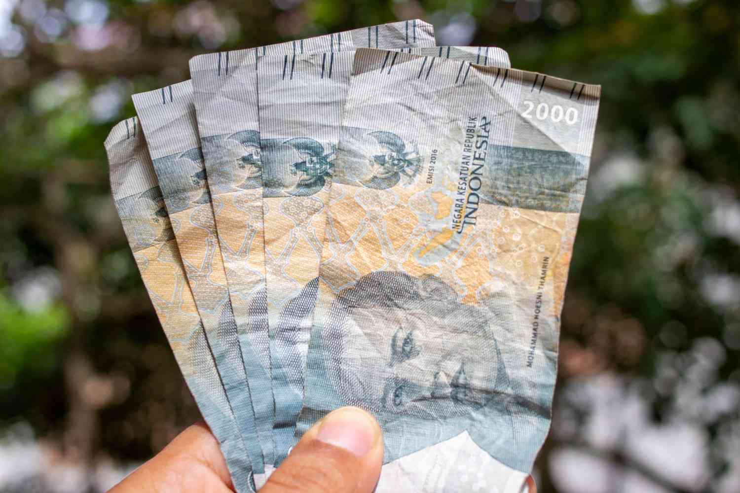 Grafik simulasi nilai konversi perkiraan 1 koin tiktok berapa rupiah